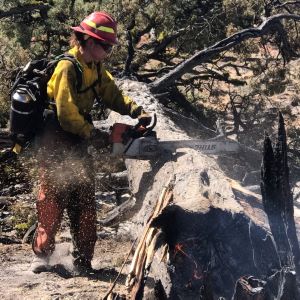 More than 70 Texas A&M Forest Service personnel are currently deployed to wildfire incidents across multiple western states including Arizona, California, Idaho and Montana.